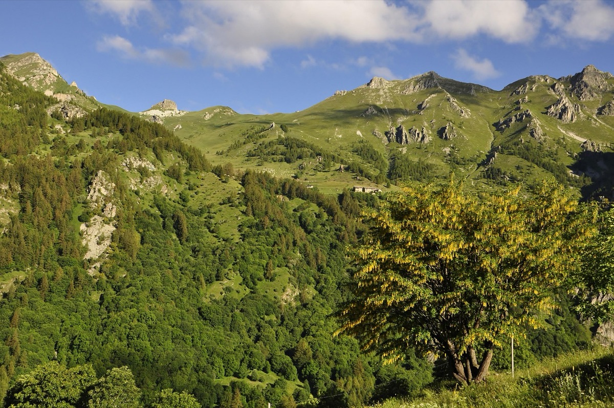 Équipement de tente et lampe de poche alpin