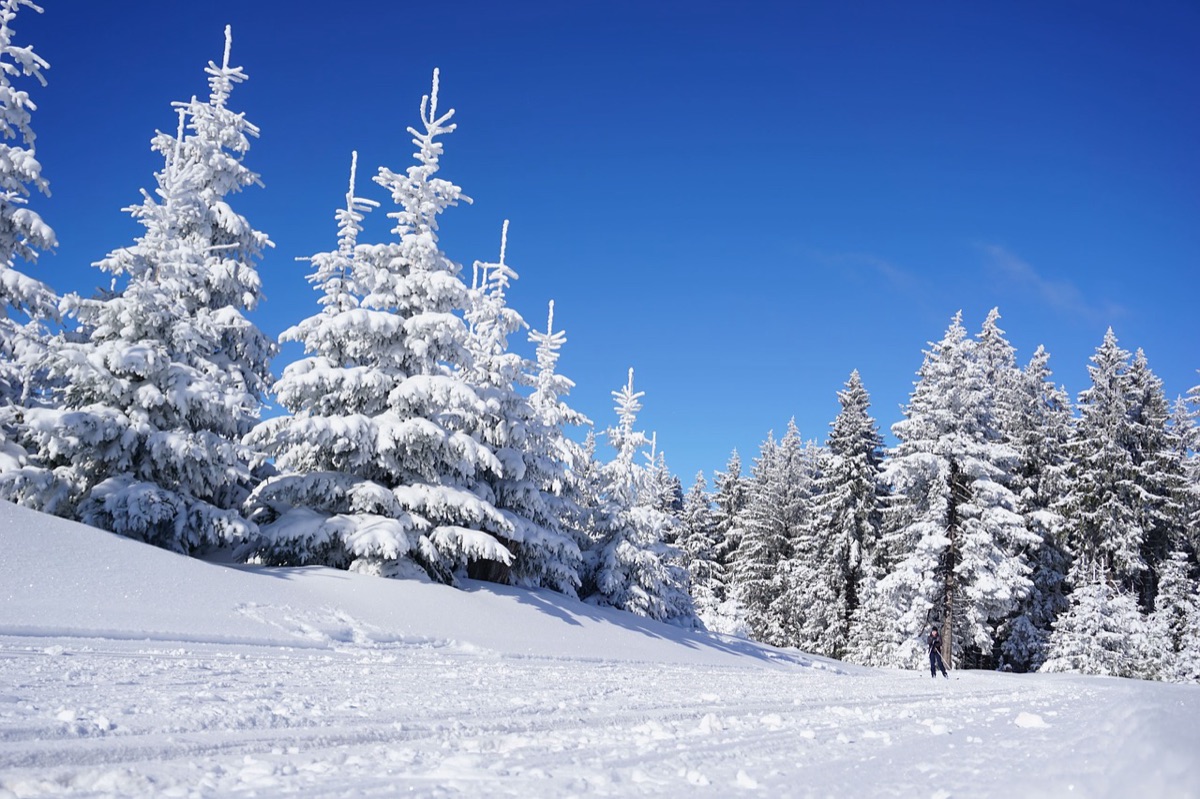 snow-covered mountain trail