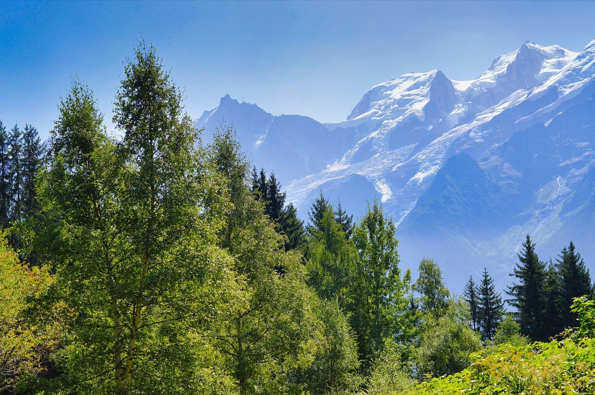 monte neve