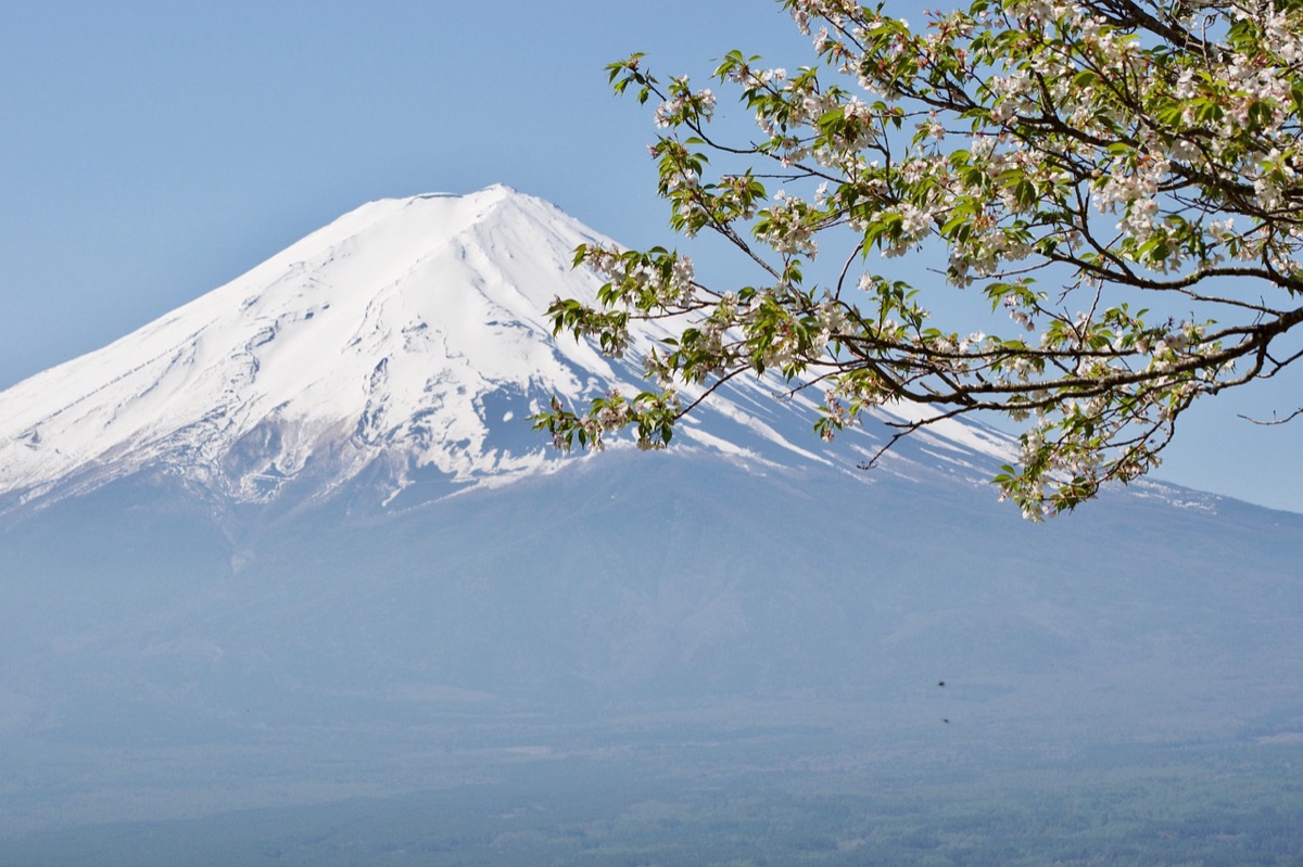 fuji mountain accommodation