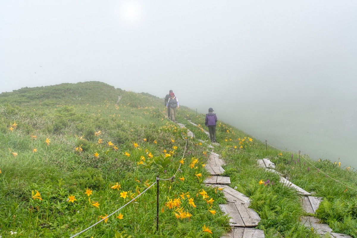 Trekker on Mount Kinabalu trail