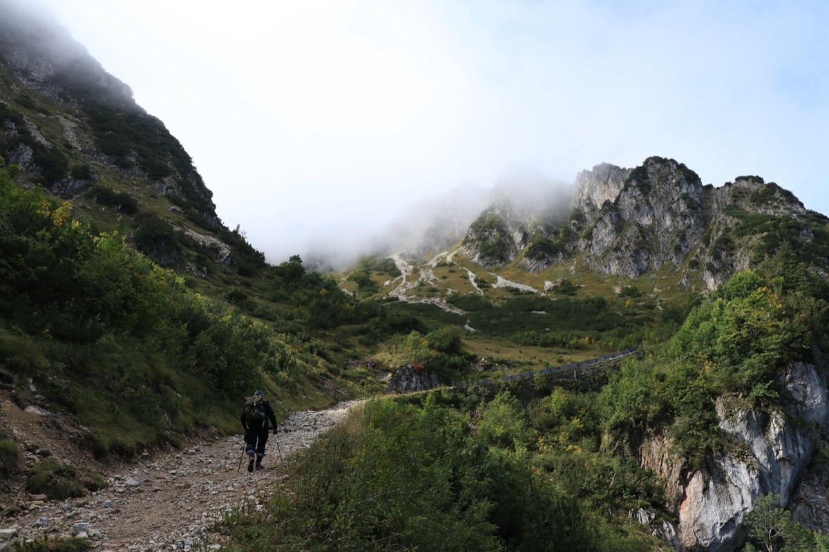 Kinabalu mountain trail