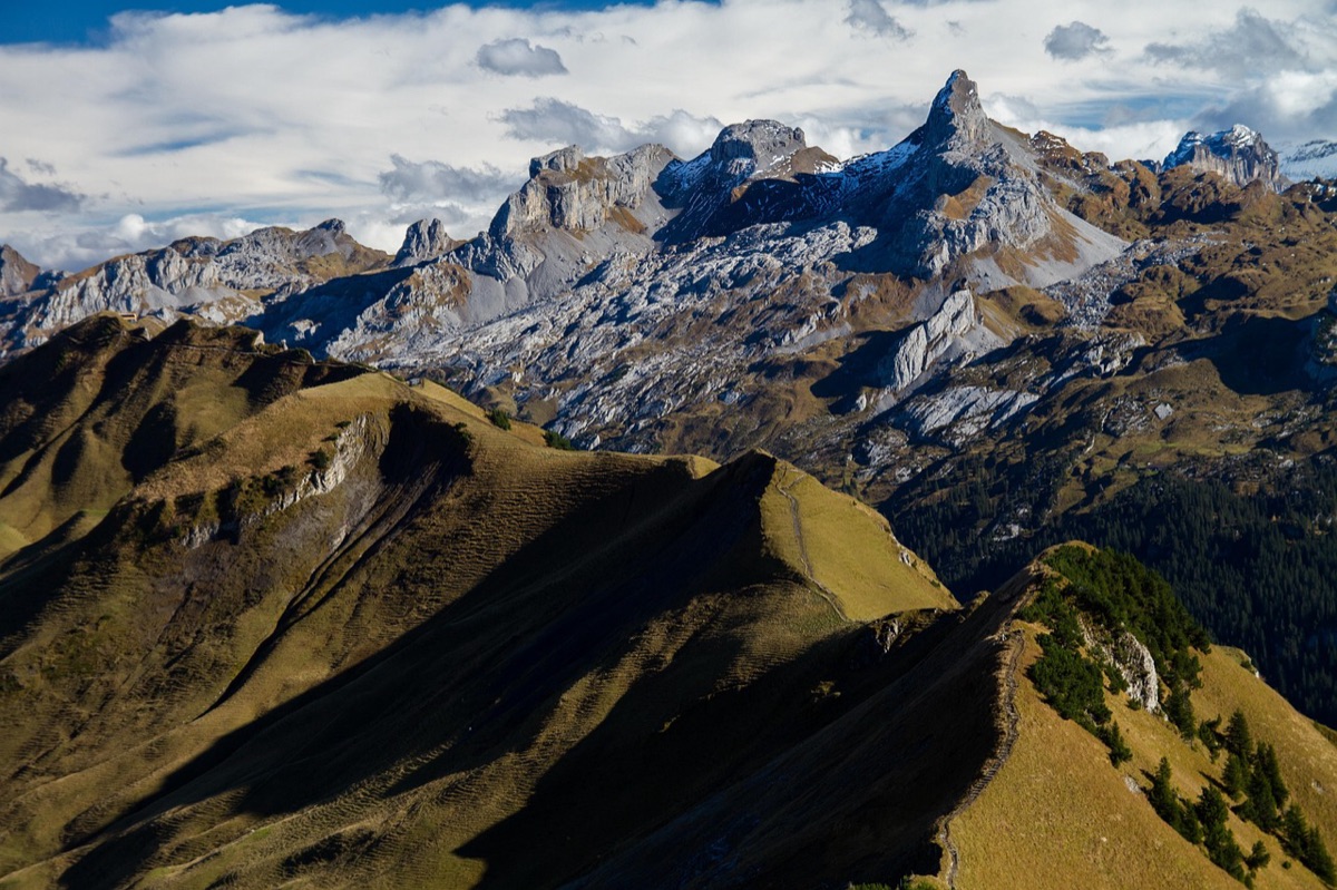 Puces de trail sur une piste de montagne