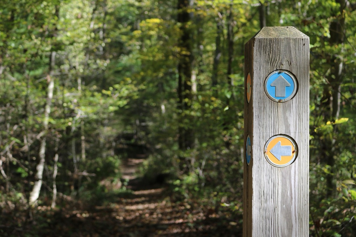 Mountain trail markers indicating elevation changes