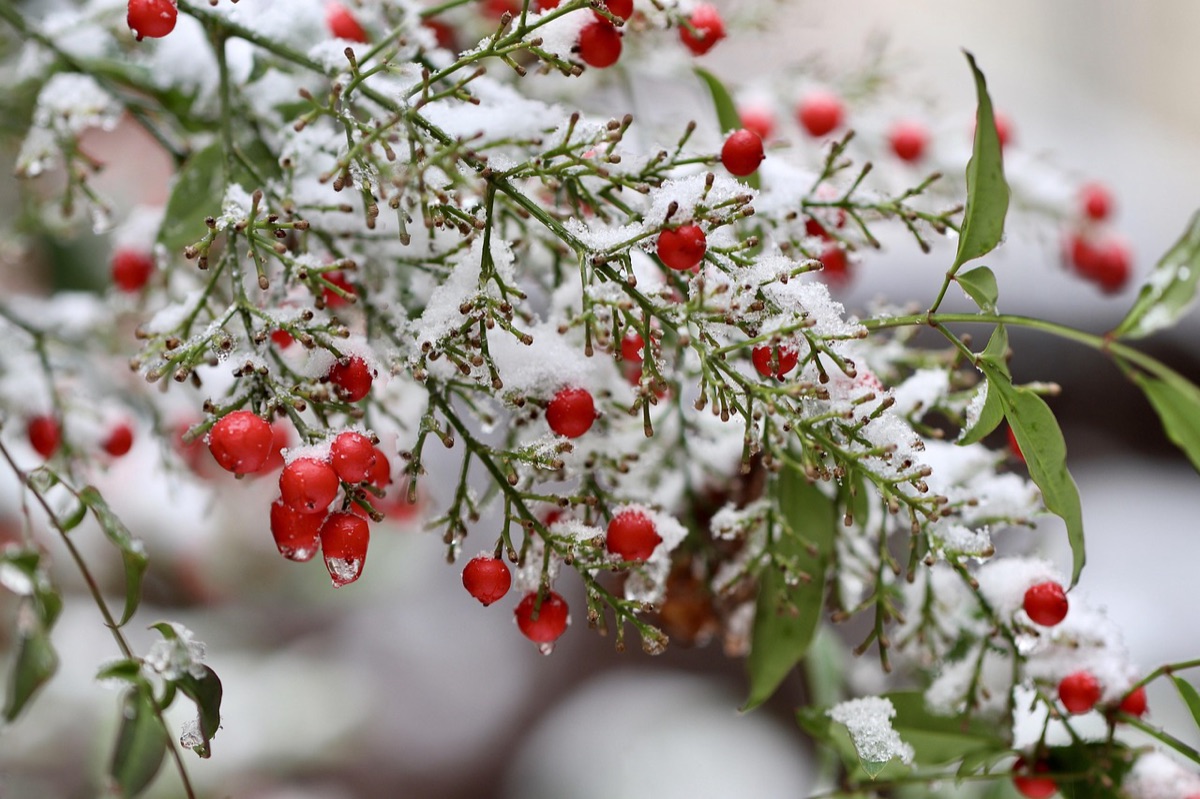 Escursione invernale: escursionista in abbigliamento termico sulla neve