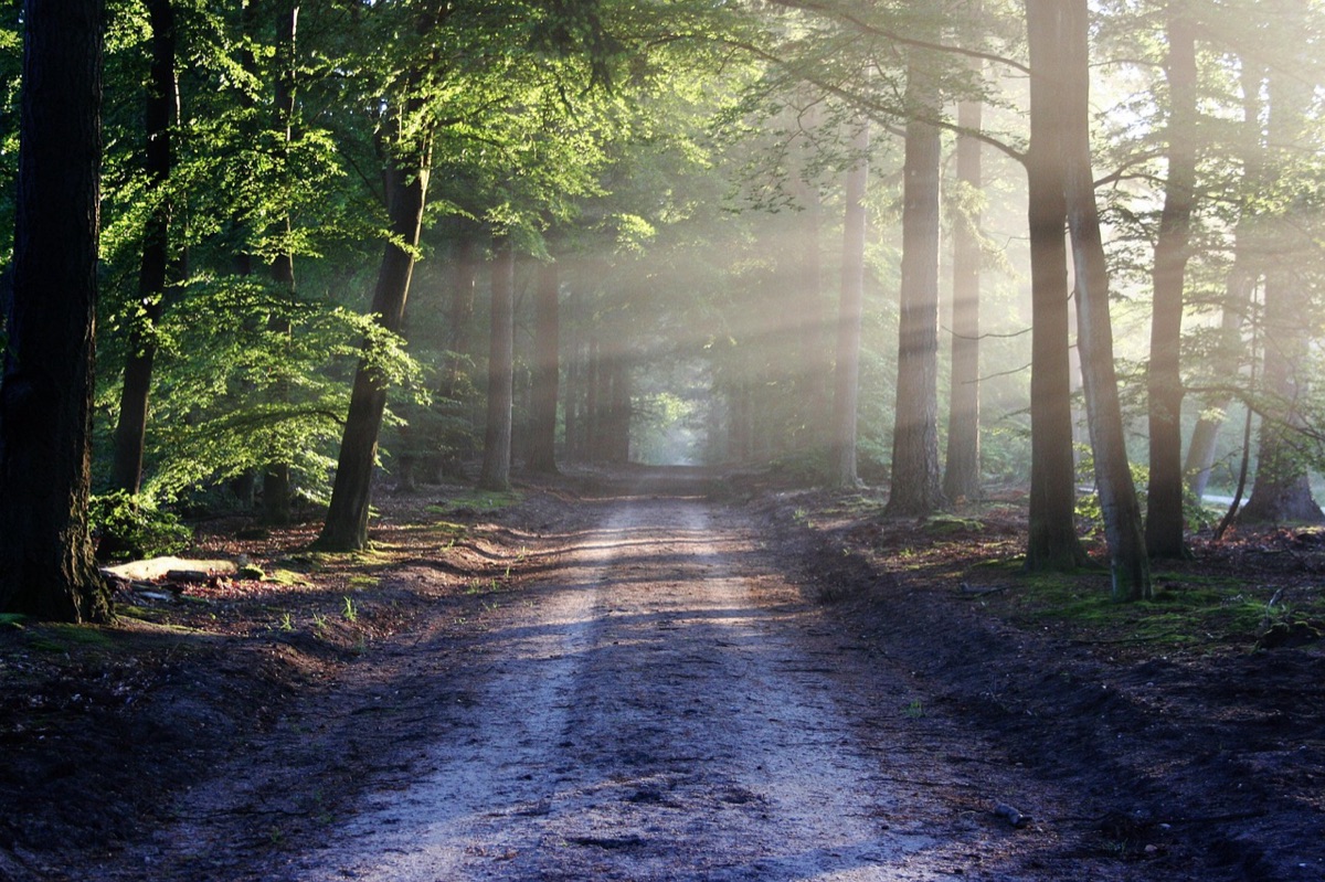 Mountain trail runners in natural environment