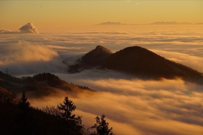 Trail Running: Geología y Resistencia en Competencias Globales