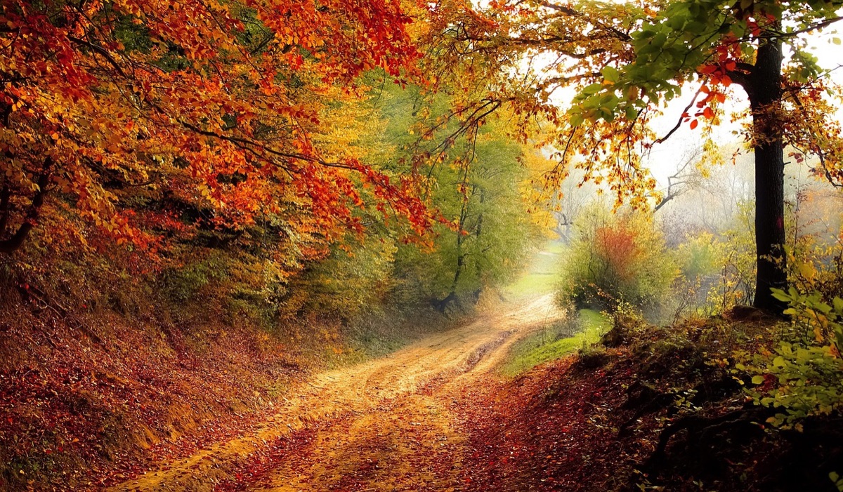Hiker on Yosemite Trail in Fall