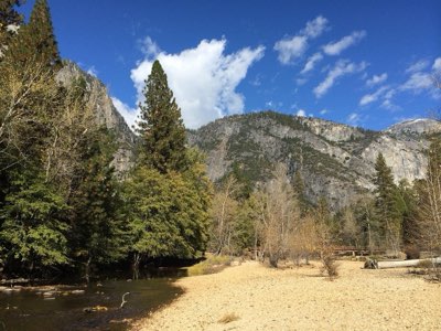 800 Millas de Senderos: Vive la Magia Otoñal de Yosemite Ahora