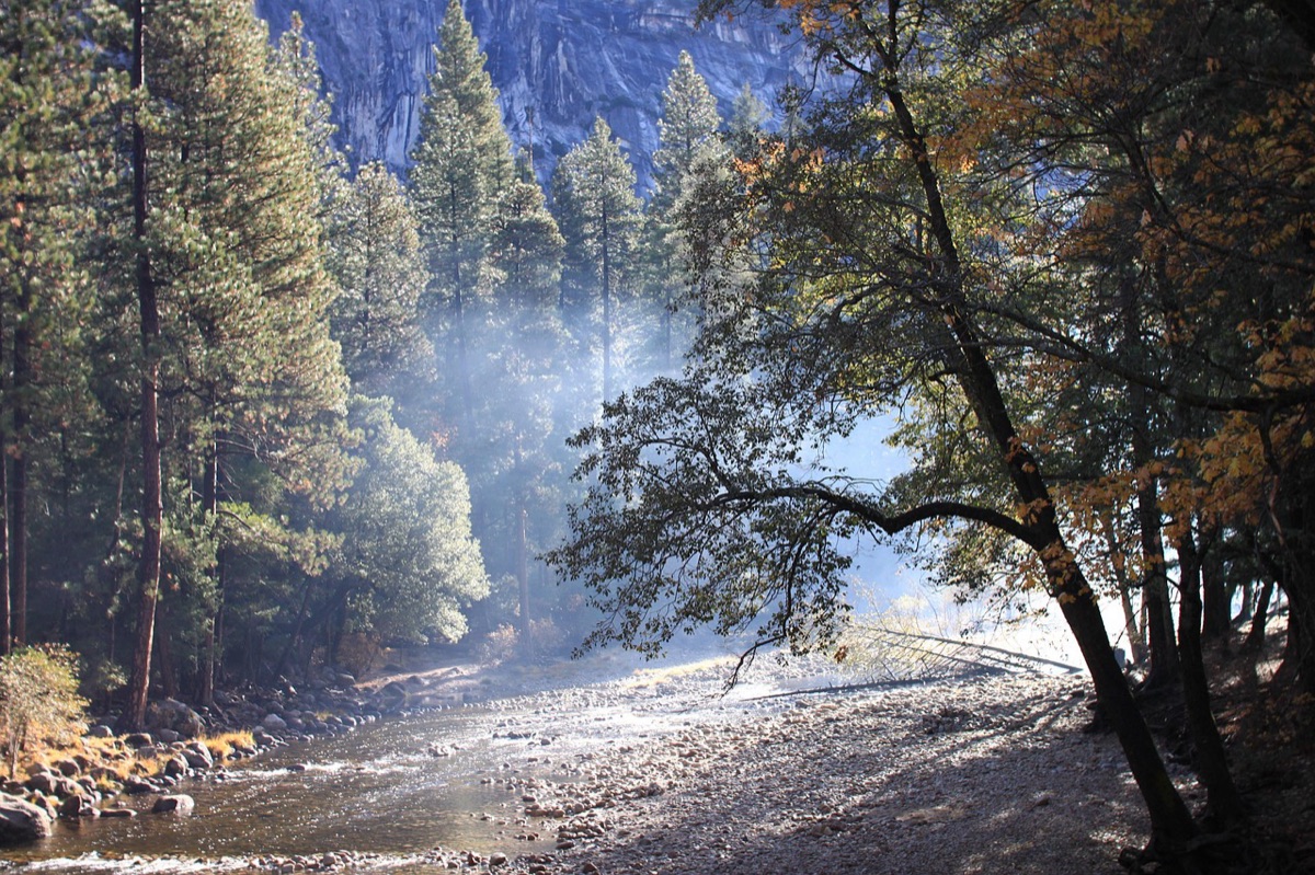 Sentier du Yosemite national park